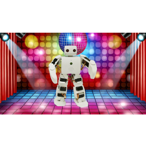 bailerobot